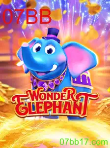 Explorando o Maravilhoso Mundo de WonderElephant: O Jogo da Palavra-Chave 07BB